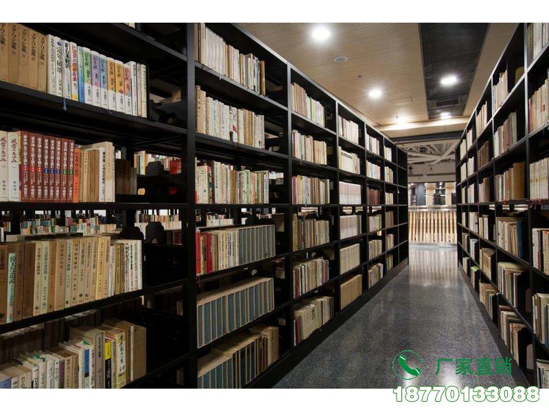 伊犁州古籍图书收藏专用书架